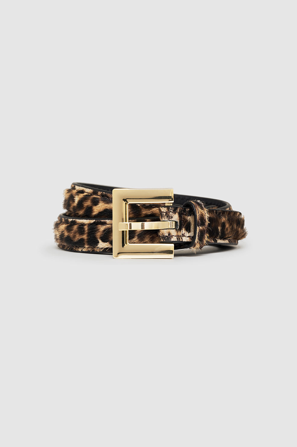 Leopard print calf hair wide belt with oversized square buckle Accessories | Leopard Print Calf Hair Wide Belt With  main image 2