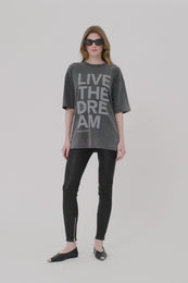 ANINE BING Cason Tee Live The Dream - Washed Black - On Model Video