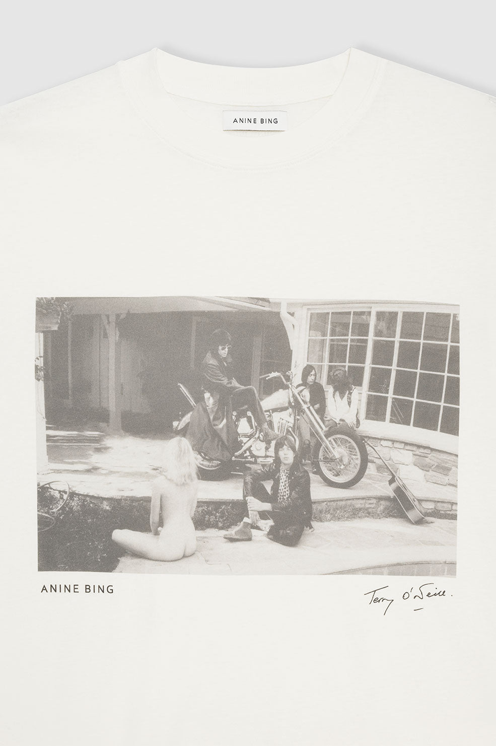 ANINE BING Lili Tee Ab X To X Rolling Stones - Vintage White - Detail View 