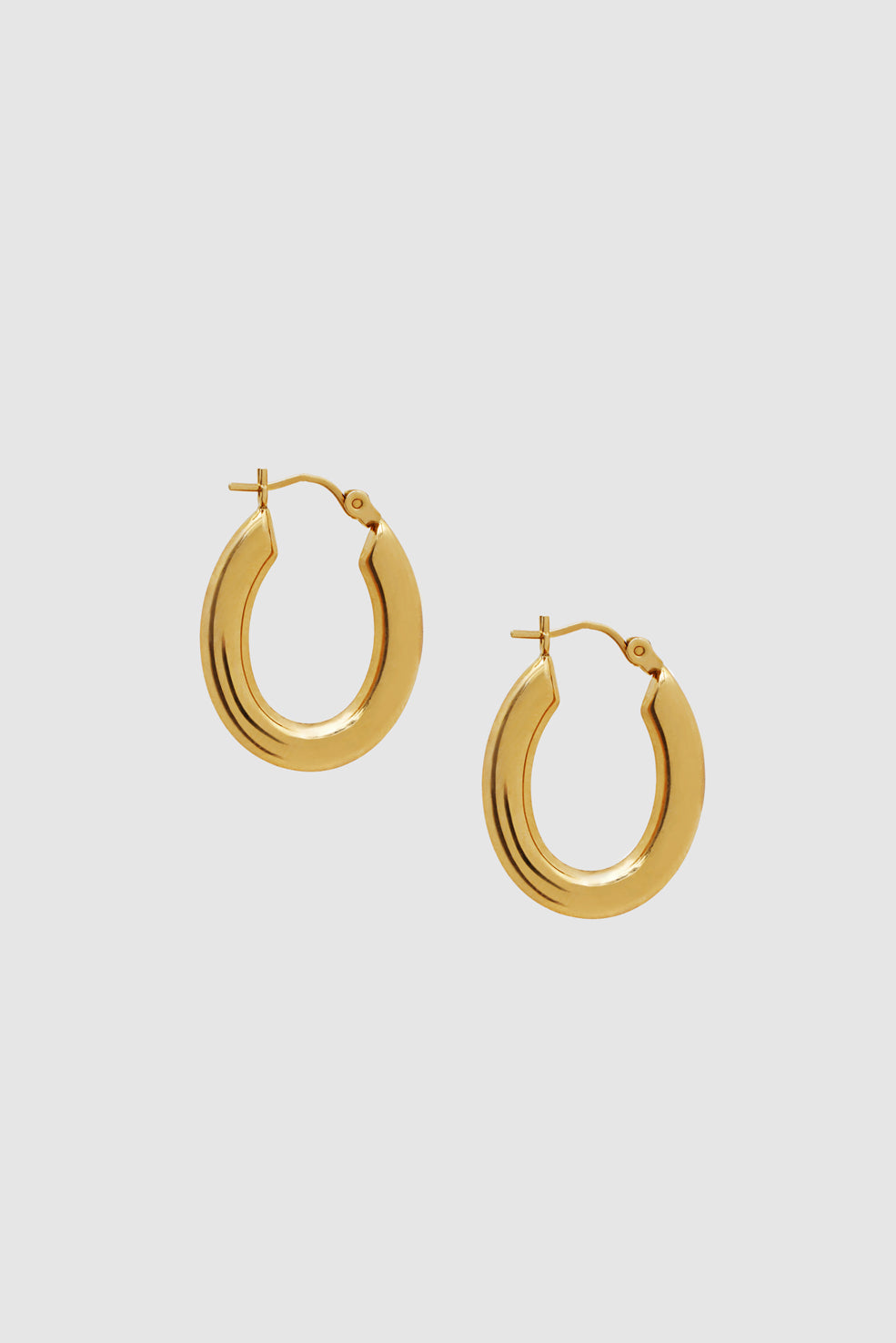 ANINE BING Small Tubular Oval Hoop Earrings - 14K Gold - Front View