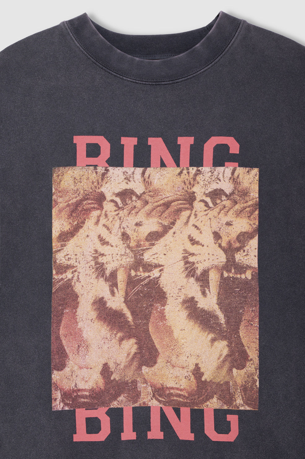 ANINE BING Miles Sweatshirt Tiger Bing - Washed Black - detail view