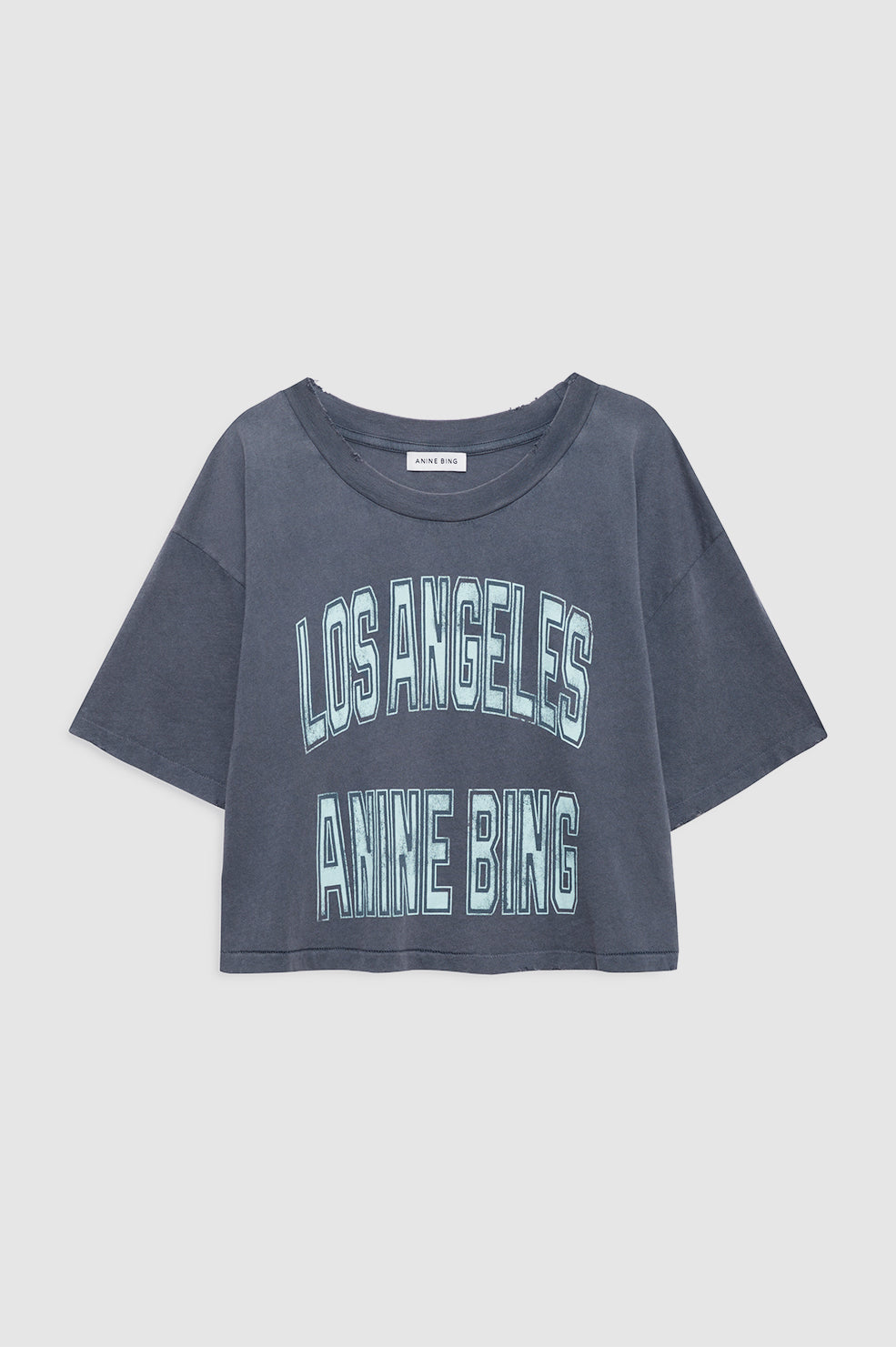 ANINE BING Johnny Cropped Tee - Washed Grey - front view